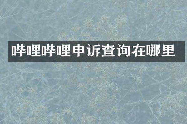 哔哩哔哩申诉查询在哪里