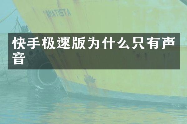 快手极速版为什么只有声音