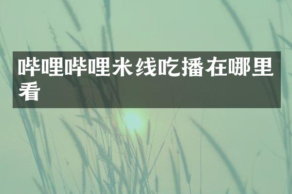 哔哩哔哩米线吃播在哪里看