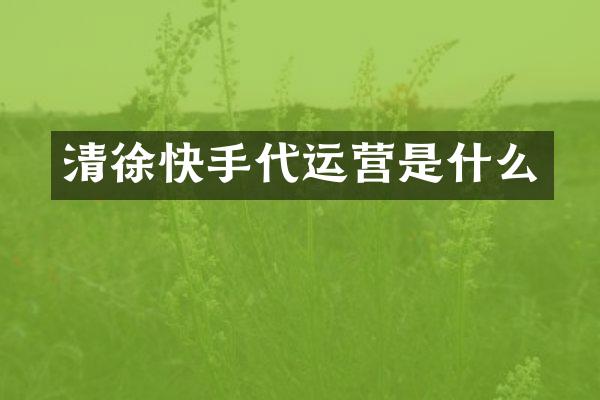 清徐快手是什么