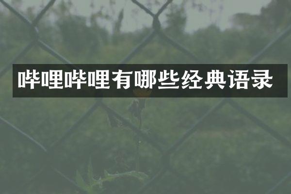哔哩哔哩有哪些经典语录