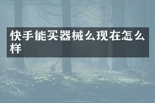 快手能买器械么现在怎么样