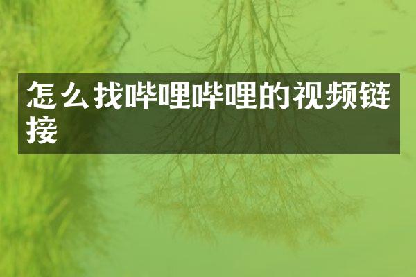怎么找哔哩哔哩的视频链接