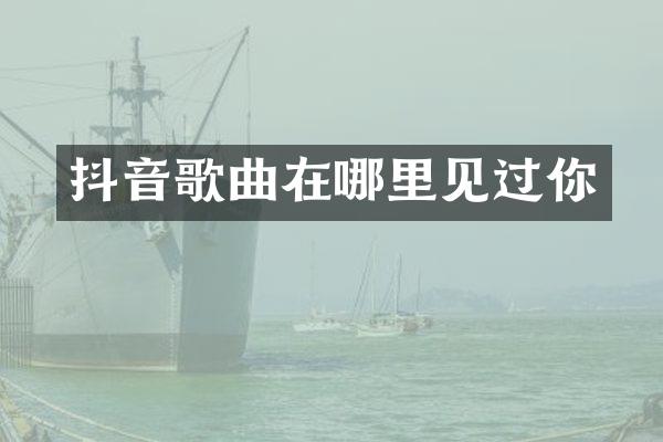 抖音歌曲在哪里见过你