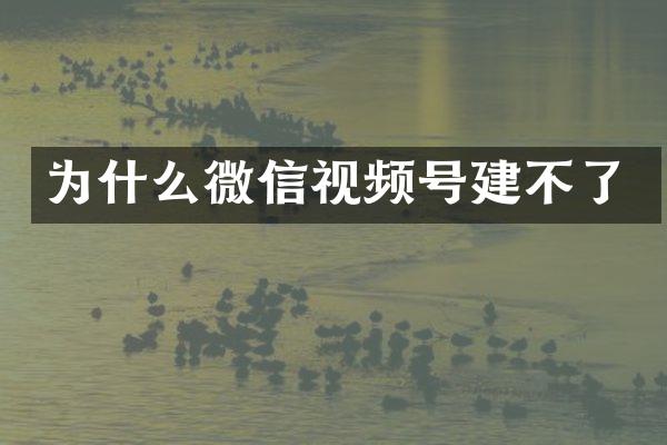 为什么微信视频号建不了