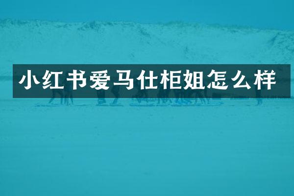 小红书爱马仕柜姐怎么样