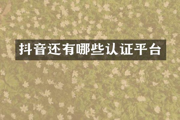 抖音还有哪些认证平台
