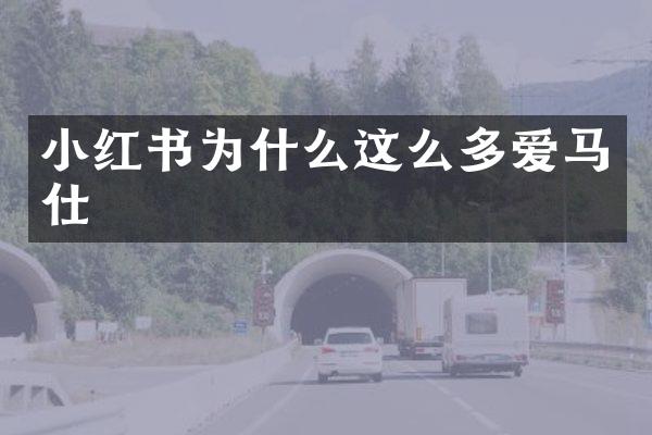 小红书为什么这么多爱马仕