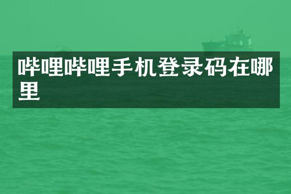 哔哩哔哩手机登录码在哪里