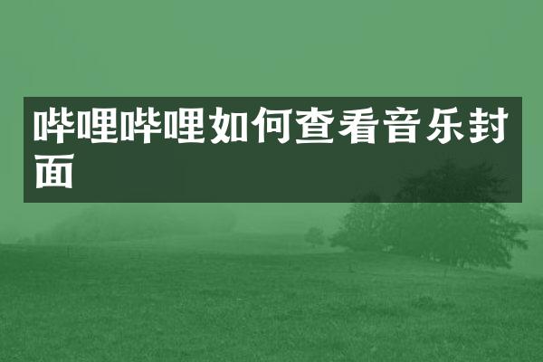 哔哩哔哩如何查看音乐封面