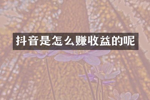 抖音是怎么赚收益的呢