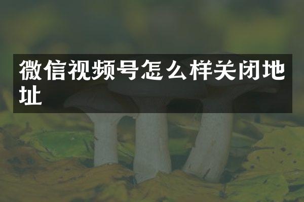 微信视频号怎么样关闭地址