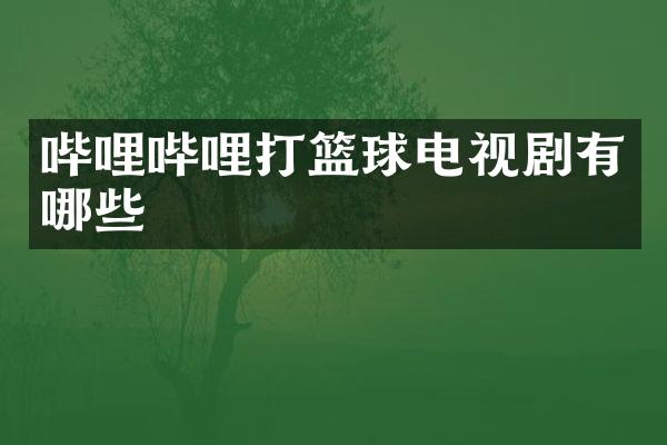 哔哩哔哩打篮球电视剧有哪些