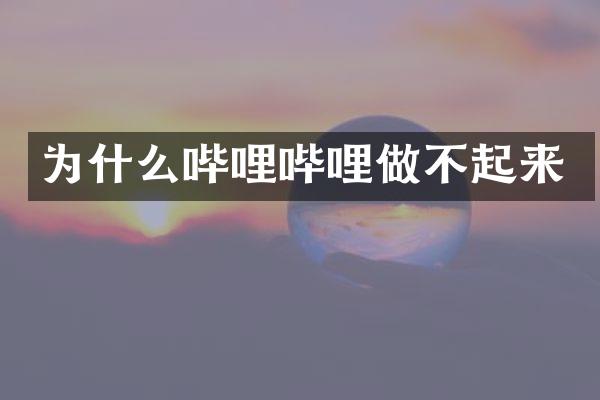 为什么哔哩哔哩做不起来