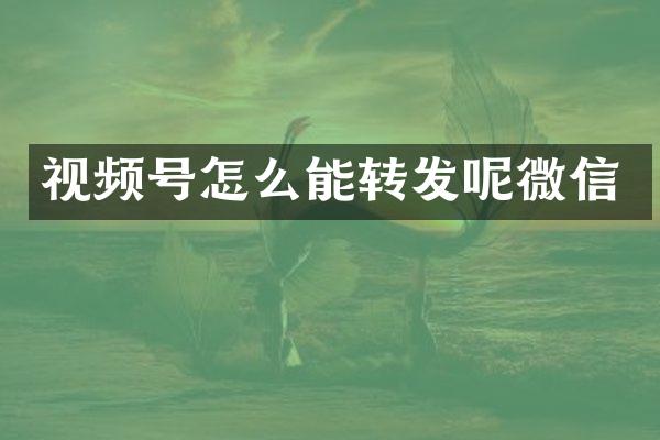 视频号怎么能转发呢微信