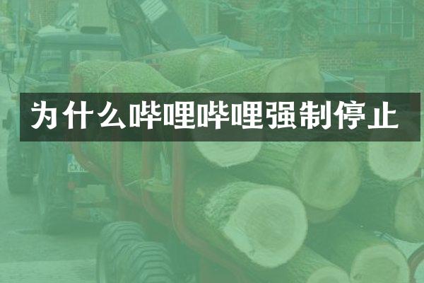 为什么哔哩哔哩强制停止