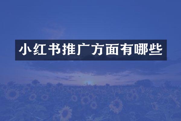 小红书推广方面有哪些