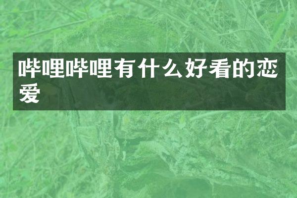 哔哩哔哩有什么好看的恋爱