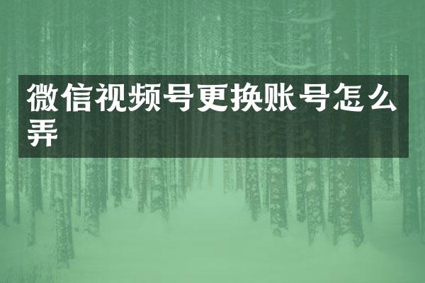 微信视频号更换账号怎么弄