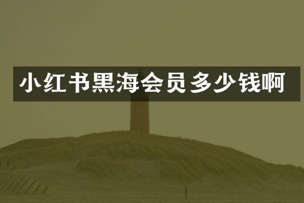 小红书黑海会员多少钱啊