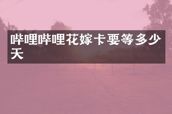 哔哩哔哩花嫁卡要等多少天