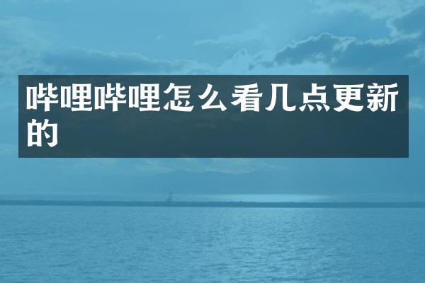 哔哩哔哩怎么看几点更新的