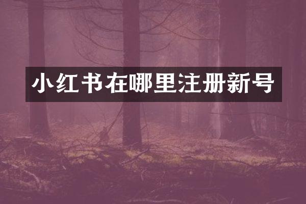 小红书在哪里注册新号