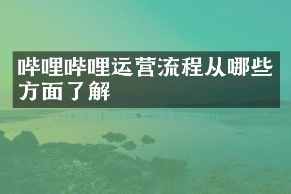 哔哩哔哩运营流程从哪些方面了解