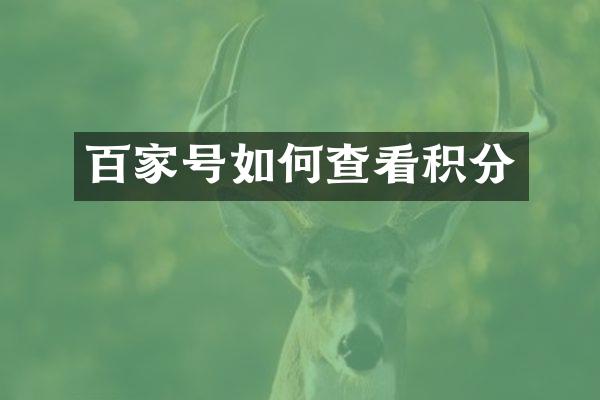百家号如何查看积分