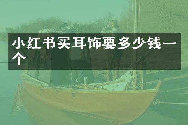 小红书买耳饰要多少钱一个
