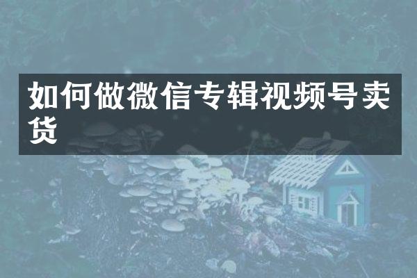 如何做微信专辑视频号卖货