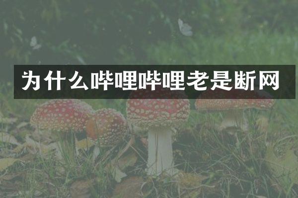 为什么哔哩哔哩老是断网