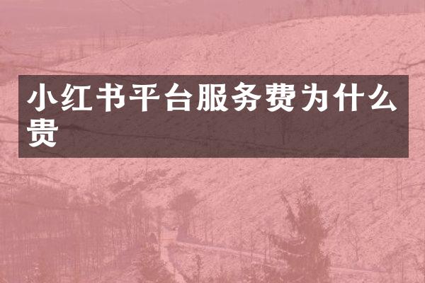 小红书平台服务费为什么贵
