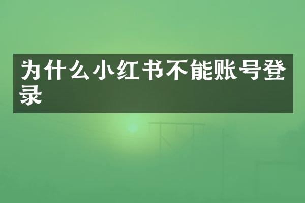 为什么小红书不能账号登录