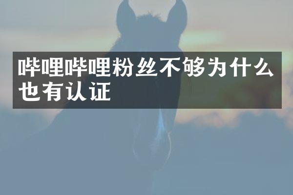 哔哩哔哩粉丝不够为什么也有认证
