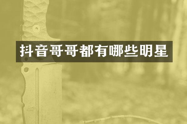 抖音哥哥都有哪些明星