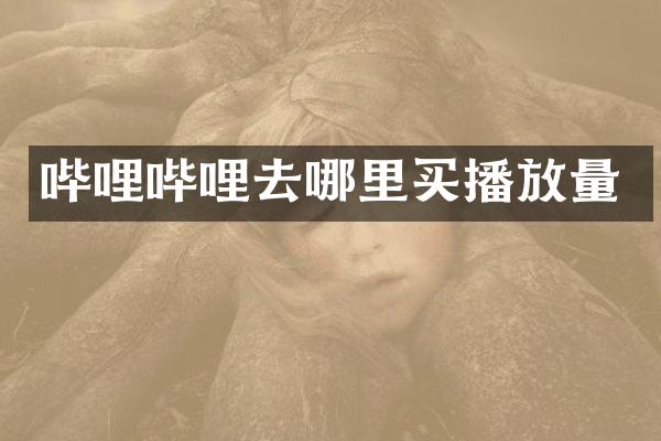 哔哩哔哩去哪里买播放量
