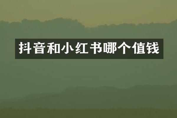 抖音和小红书哪个值钱