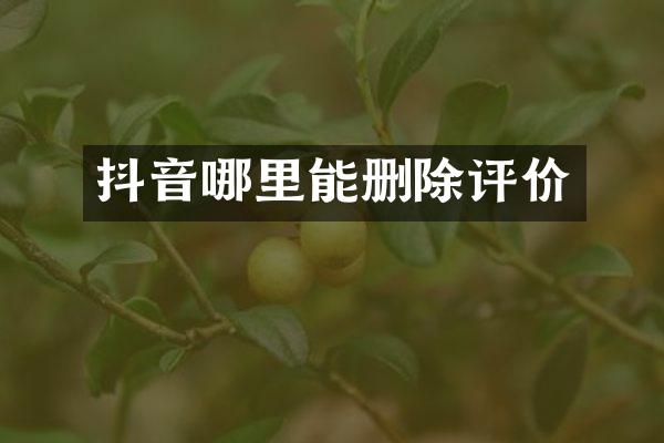 抖音哪里能删除评价