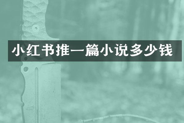 小红书推一篇小说多少钱