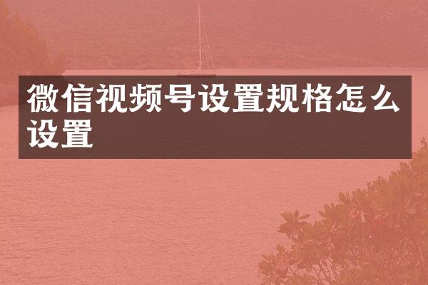 微信视频号设置规格怎么设置