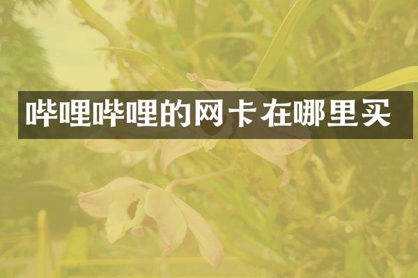 哔哩哔哩的网卡在哪里买