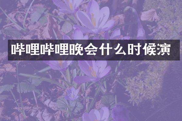哔哩哔哩晚会什么时候演