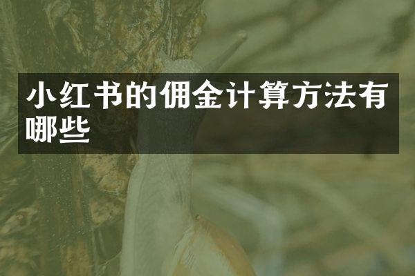 小红书的佣金计算方法有哪些