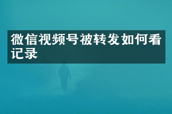 微信视频号被转发如何看记录