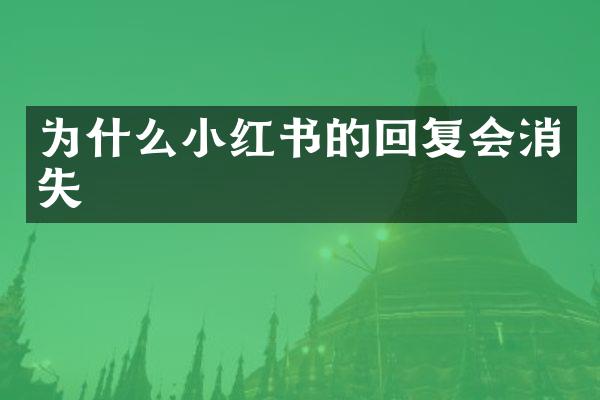 为什么小红书的回复会消失