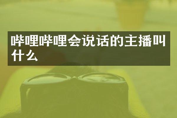 哔哩哔哩会说话的主播叫什么