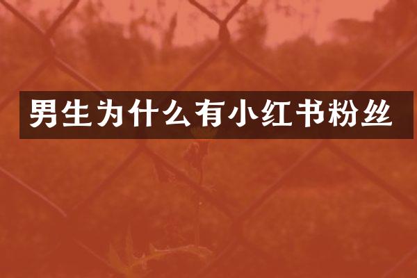 男生为什么有小红书粉丝