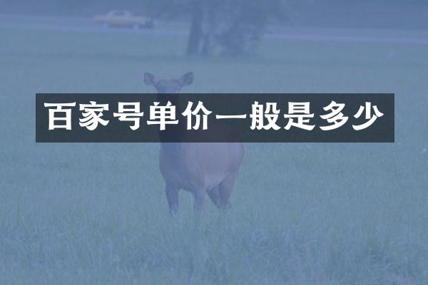 百家号单价一般是多少