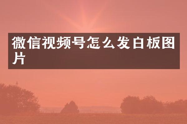 微信视频号怎么发白板图片
